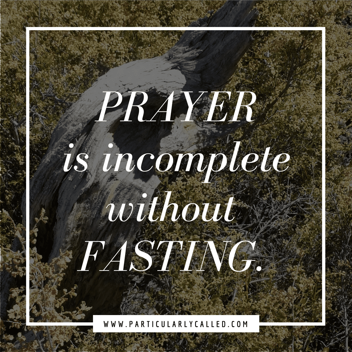 fasting and prayer quotes