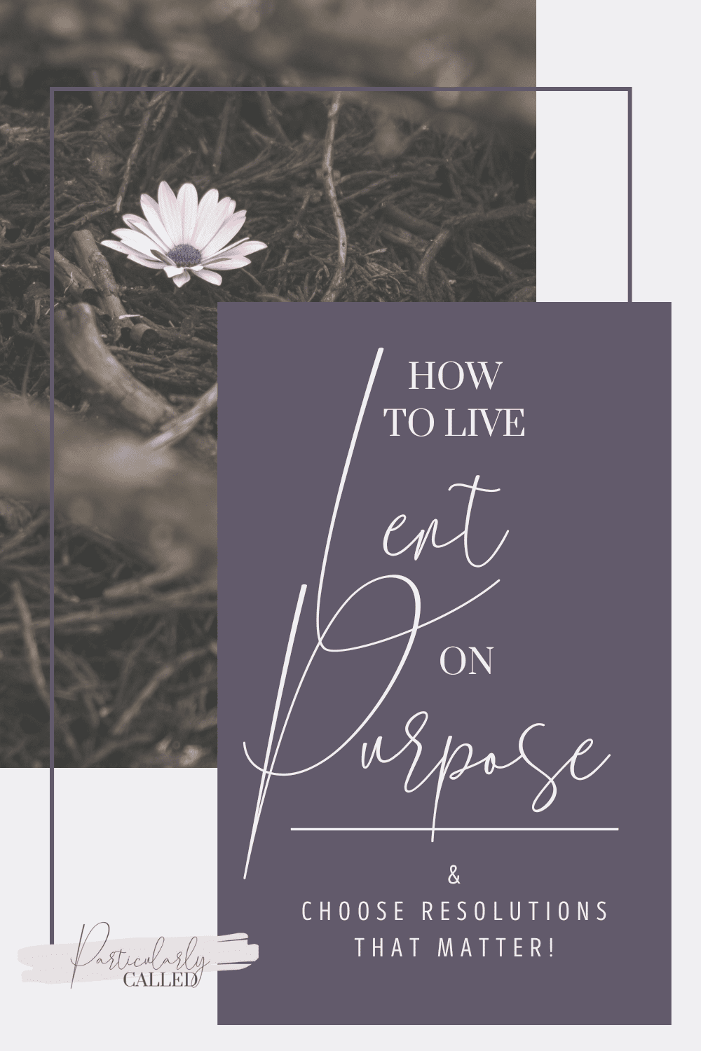 What is the Purpose of Lent? – Why live Lent?